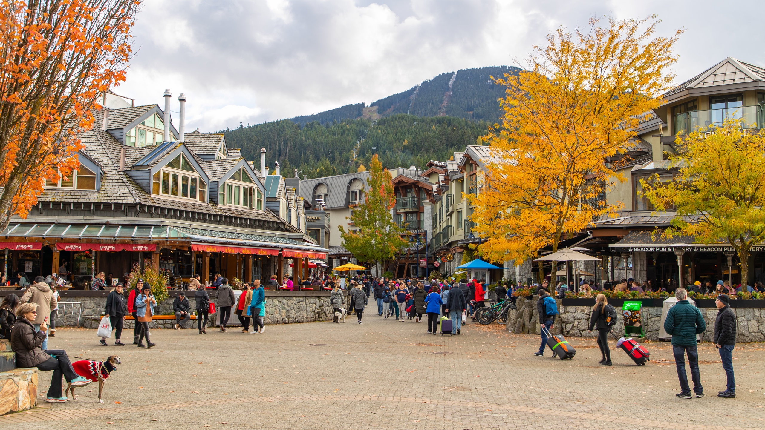 Whistler Village Stroll during summer