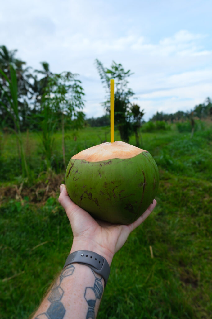 Fresh coconut on the village walk at Akohara Buahan Village Retreat