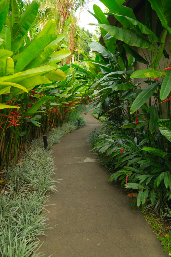 Tropical plant pathways between villas at Akohara Buahan Village Retreat Bali