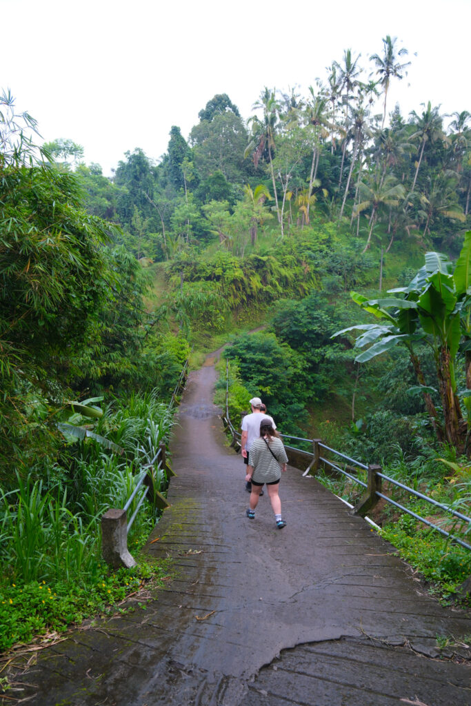 Jungle pathway on the village walk at Akohara Buahan Village Retreat