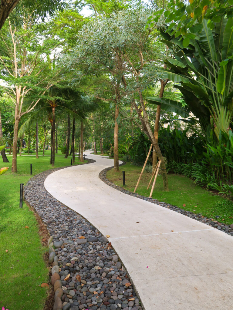 Winding path through palm trees